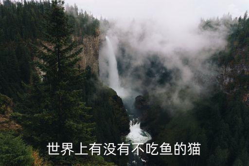 世界上有没有不吃鱼的猫