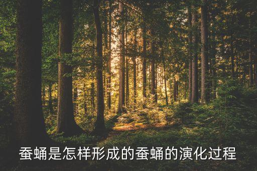 蚕的演变图片卡通,蚕字是音标的变体或与里字谐音