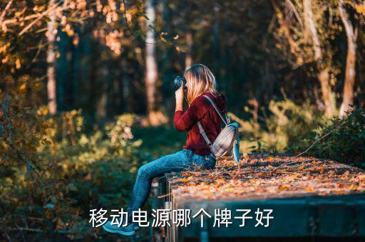 卡通 电池,本地移动电源供应商提供免费充电服务
