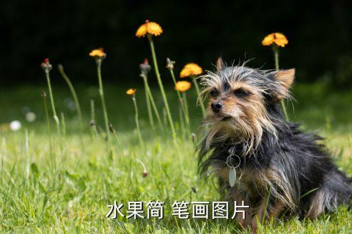 水果简笔画图片卡通,水果jane笔画介绍:苹果是水果之王