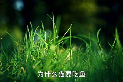 为什么猫要吃鱼