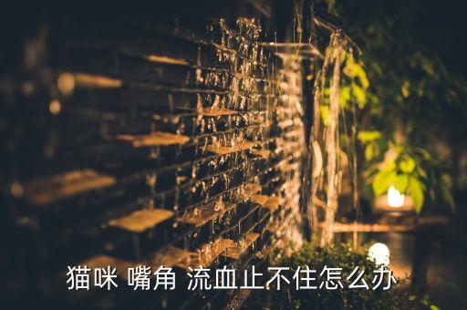 猫咪 嘴角 流血止不住怎么办