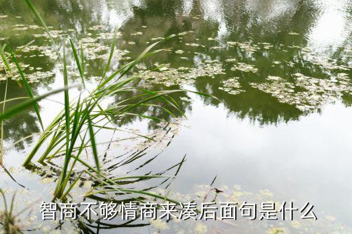 智商是硬伤卡通图片,情商不够补的人