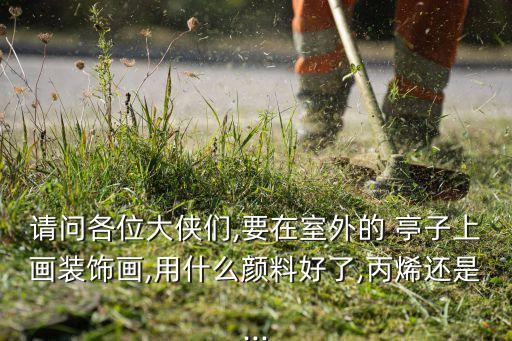 请问各位大侠们,要在室外的 亭子上画装饰画,用什么颜料好了,丙烯还是...