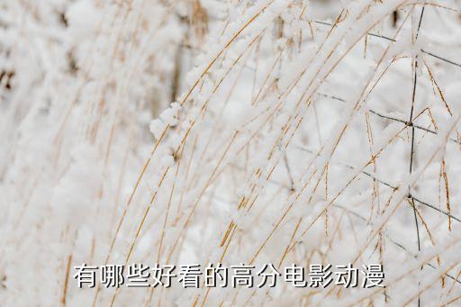 有哪些好看的高分电影动漫