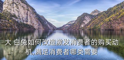 大 白兔如何改造激发消费者的购买动机,满足消费者哪类需要