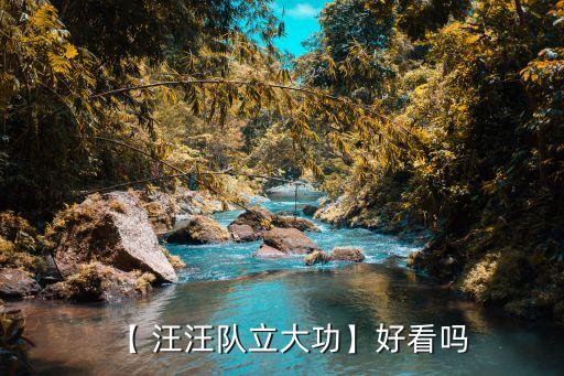 【 汪汪队立大功】好看吗