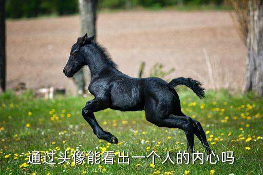 卡通人物图片信任,网络头像对网络人际关系的影响有待研究