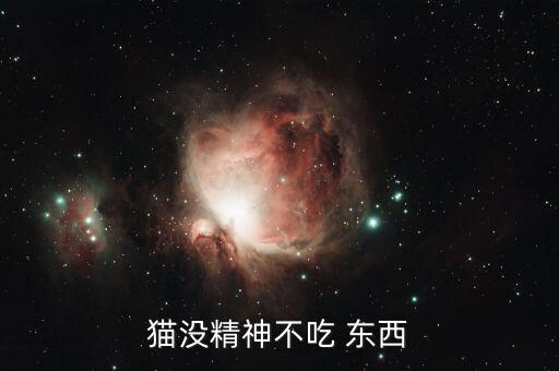 猫咪吃东西图片 卡通图片,长期不吃东西猫咪会瘦很多!
