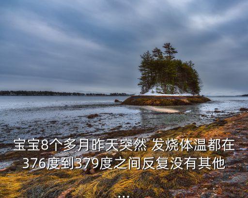 宝宝8个多月昨天突然 发烧体温都在376度到379度之间反复没有其他...