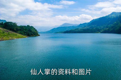 卡通仙人掌的图片大全,墨西哥人把仙人掌当成国花把它漆成国徽