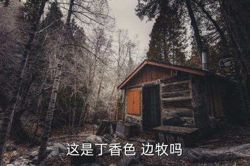 这是丁香色 边牧吗