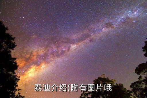 泰迪介绍(附有图片哦