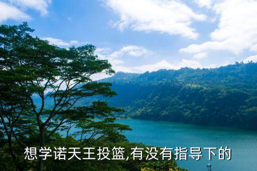 诺维斯基卡通图片,篮球五位置详解:后仰投篮和三分球