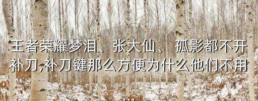 孤影头像卡通,不怕输不怕赢!李总理评选四个选区竞选广播