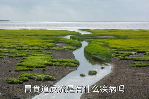胃食道反流是有什么疾病吗
