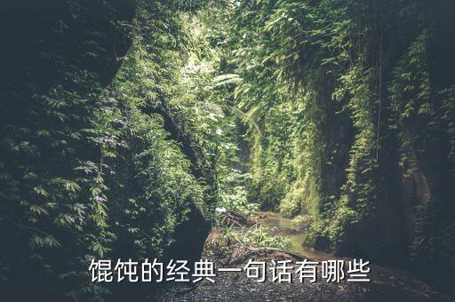  馄饨的经典一句话有哪些