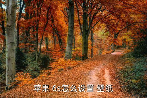 苹果 6s怎么设置 壁纸