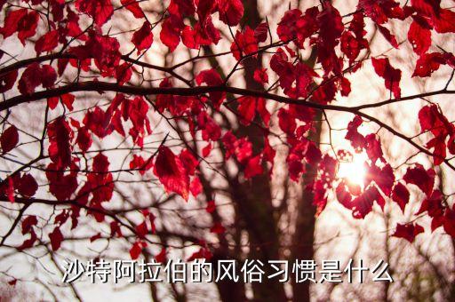 沙特阿拉伯的风俗习惯是什么