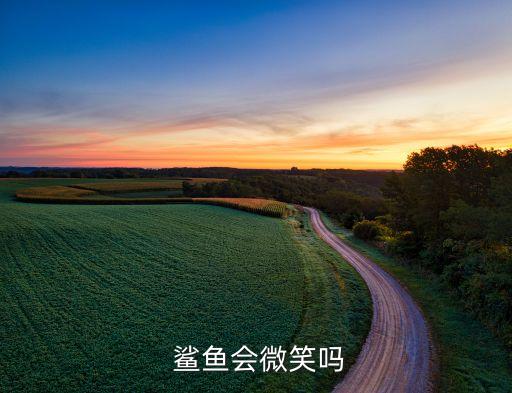  鲨鱼会微笑吗