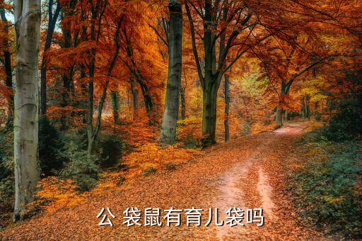 公 袋鼠有育儿袋吗