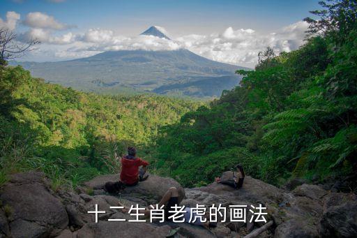 卡通虎手绘图片大全,卡通小老虎简笔画教程简洁美观