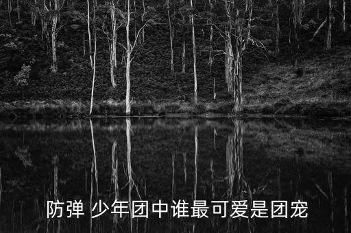  防弹 少年团中谁最可爱是团宠