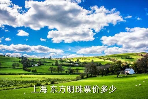 卡通东方明珠图片,上海东方明珠广播电视塔对外开放参观