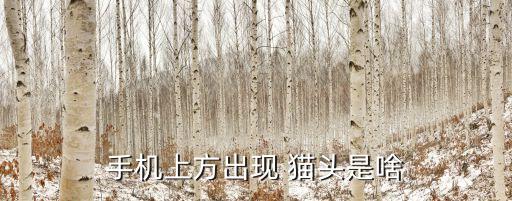 手机上方出现 猫头是啥