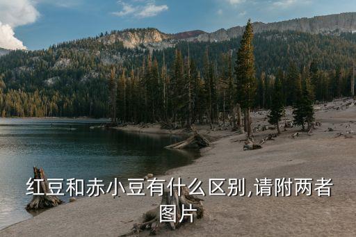 红豆和赤小豆有什么区别,请附两者图片