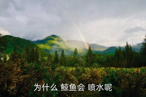卡通鲸鱼喷水图片,鲸鱼没有鳃在水中呼吸时不断喷出水柱