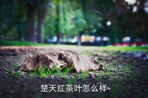 茶园卡通图片,世界自行车大赛后雅安名山出现茶园绿道