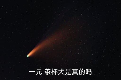 一元 茶杯犬是真的吗