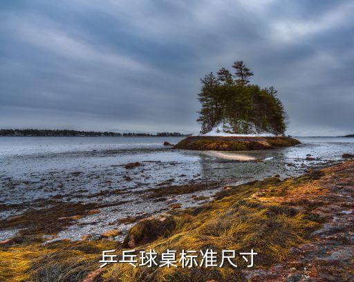 乒乓球桌标准尺寸
