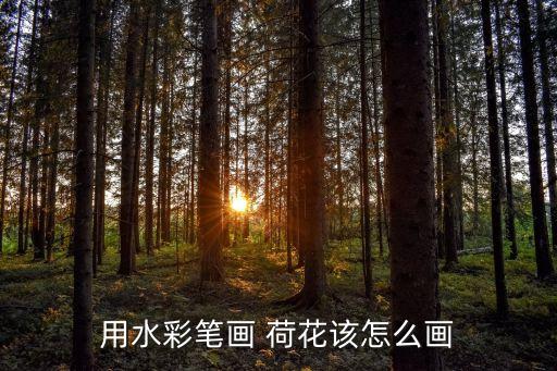 荷花卡通背景图片,荷花与荷叶的区别（一）