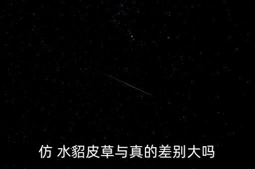 水貂图片卡通,养水貂不怕脏不怕累!