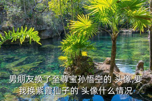 男朋友换了至尊宝孙悟空的 头像,要我换紫霞仙子的 头像什么情况
