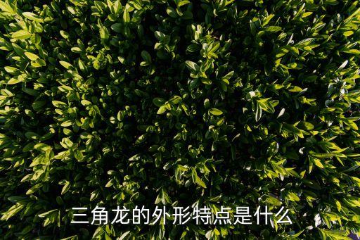 可爱的三角龙卡通图片,三角龙是最晚恐龙之一身长约80厘米