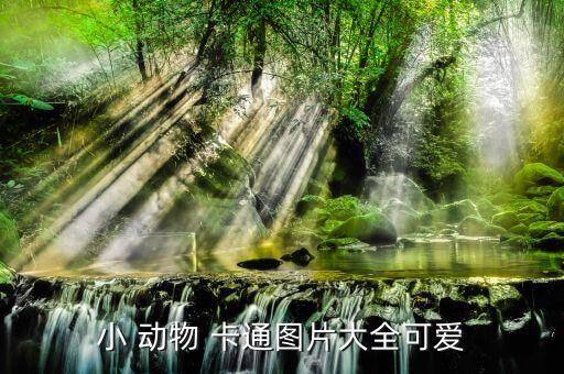 小 动物 卡通图片大全可爱