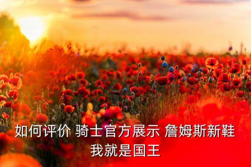 詹姆斯骑士卡通,詹姆斯is骑士不是战士