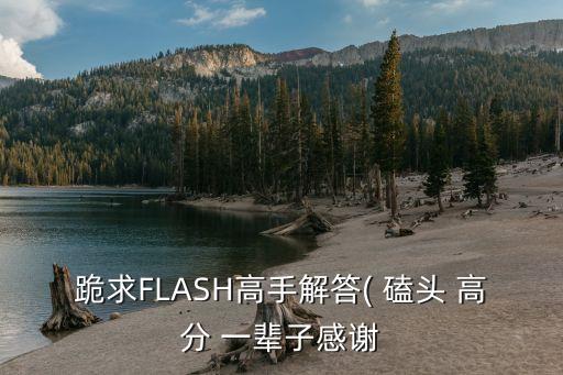 跪求FLASH高手解答( 磕头 高分 一辈子感谢