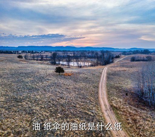 油 纸伞的油纸是什么纸