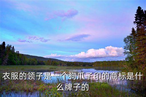 小狗爪印图片大全卡通,狼爪外套和户外运动服可选哪个牌子好?