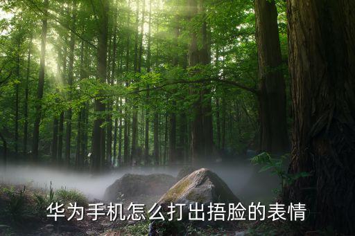 微信中捂脸表情怎么打，微信捂脸表情怎么打
