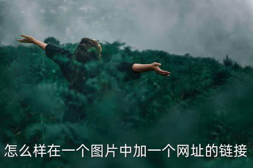 怎么在图片中插入链接，怎么在图片上加链接啊