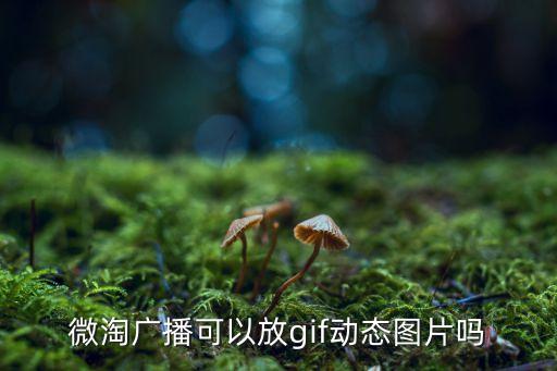 微淘怎么发动态图片，weico安卓客户端怎么发动态图片