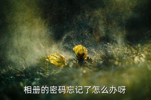 爱相册忘了密码怎么办，相册的密码忘记了怎么办呀
