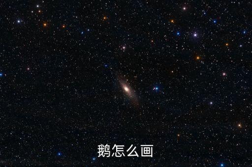 鹅怎么画