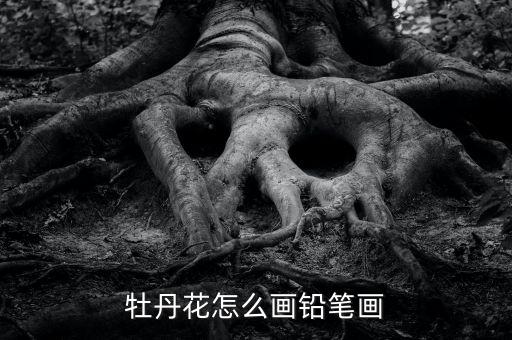 牡丹花彩铅怎么涂色，牡丹花怎么画铅笔画