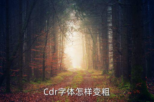 cdr字体怎么换成粗圆，CorelDRAW里面怎么把字体变粗